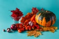 Colored pumpkin and viburnum on aquamarine shadowless background Royalty Free Stock Photo