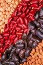 Colored puse chickpea Royalty Free Stock Photo