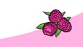 Colored Raspberries Vector Card