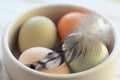 Macro of Raw Eggs with Feather from Domestic Fowl in Bowl Royalty Free Stock Photo