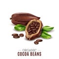 Realistic Cocoa Composition