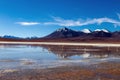 Colored Red Altiplanic Lagoon, a shallow saline lake in the southwest of the Altiplano of Bolivia