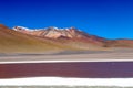 Colored Red Altiplanic Lagoon, a shallow saline lake in the southwest of the Altiplano of Bolivia