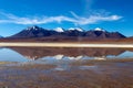 Colored Red Altiplanic Lagoon, a shallow saline lake in the southwest of the Altiplano of Bolivia