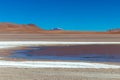 Colored Red Altiplanic Lagoon, a shallow saline lake in the southwest of the Altiplano of Bolivia