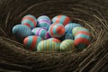 Colored red and blue easter eggs in a nest Royalty Free Stock Photo