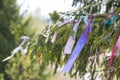 Ribbons hanging on the branches of a tree. Ribbons for luck