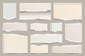 Colored ripped lined paper strips collection. Realistic paper scraps with torn edges. Sticky notes, shreds of notebook