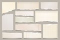 Colored ripped lined paper strips collection. Realistic paper scraps with torn edges. Sticky notes, shreds of notebook
