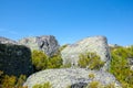 Colored rock, way to the hole Covoa dos Conchos, Serra da Estrela, P