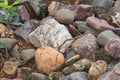 Colored Rocks and Stones Royalty Free Stock Photo