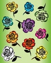 Colored roses design illustration