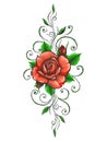 Colored Roses Flower Tattoo in Engraving Style