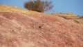 Colored sands in Makhtesh Gadol or Large Crater, nature reserve in Negev desert, Israel
