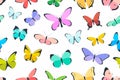 Colored seamless pattern butterfly Royalty Free Stock Photo