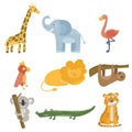 Colored set of animal and birds. Giraffe, elephant, flamingo, parrot, lion, sloth, koala bear, crocodile and tiger. Zoo