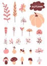 Colored set of autumn drawings. Cozy autumn. Various leaves and branches, berries and acorns, mushrooms and pumpkin, an Royalty Free Stock Photo