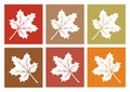 Colored set of maple leaf icons. Vector illustration Royalty Free Stock Photo