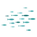 Colored silhouettes of groups of sea fishes. Colony of small fish. Icon with river taxers. Logo fish.