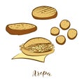 Colored sketches of Arepa bread