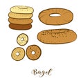 Colored sketches of Bagel bread