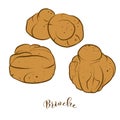 Colored sketches of Brioche bread