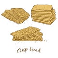 Colored sketches of Crisp bread bread