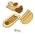 Colored sketches of Dosa bread