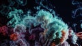 Colored smoke textures create an abstract, vibrant scene against a dark background