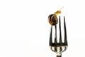 Snail on a fork on a white isolated background Royalty Free Stock Photo