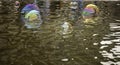 Colored soap bubbles Royalty Free Stock Photo