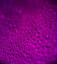 Colored soap and water bubbles. Abstract background. Royalty Free Stock Photo