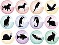 Colored splotches with animal silhouettes Royalty Free Stock Photo