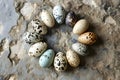 colored spotted decorative partridge eggs