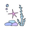 Colored starfish with air bubbles near the algae and stones. Doodle style.