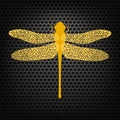 Colored Stilized Dragonfly. Insect Logo Design. Aeschna Viridis