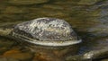 Colored stone in the shape of a boat, washed by the stream of a mountain river. North Caucasus. Background picture.