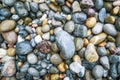 Colored stones on the beach soaked by the textura water