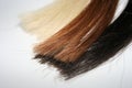 Colored strands of hair Royalty Free Stock Photo