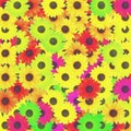 Colored sunflowers