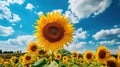 colored Sunflowers background. Illustration AI Generative