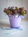 Colored sweet popcake cake pops candy.