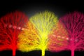 Colored trees. Colored forest on black background. Royalty Free Stock Photo