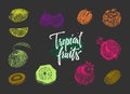 Colored Tropical Fruits Collection