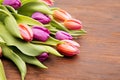 Colored tulipe, easter and spring flower Royalty Free Stock Photo