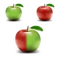 Colored Vector Apples