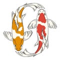 Colored vector illustration with koi carps. Isolated objects.