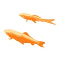 The colored vector illustration of gold fish isolated in white background Royalty Free Stock Photo