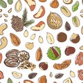 Vector seamless pattern of nuts and seeds on white background