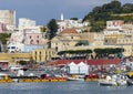 Colored village in the port of Ponza in Italy.